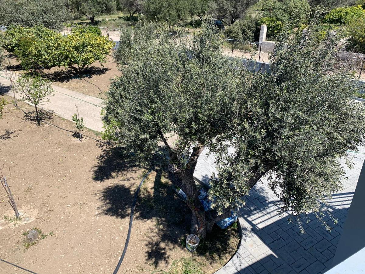 Villa Secret Edem Kolymbia Exterior foto