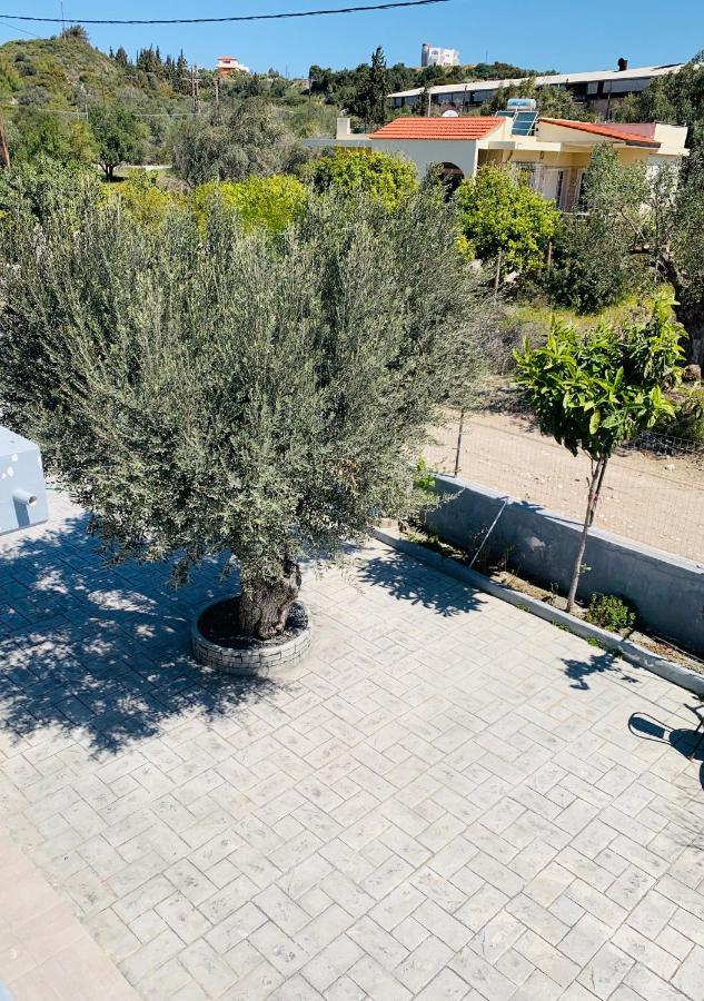 Villa Secret Edem Kolymbia Exterior foto